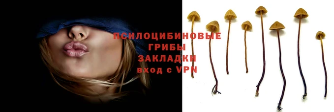 мет Няндома