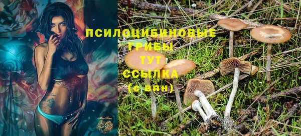 mdpv Беслан